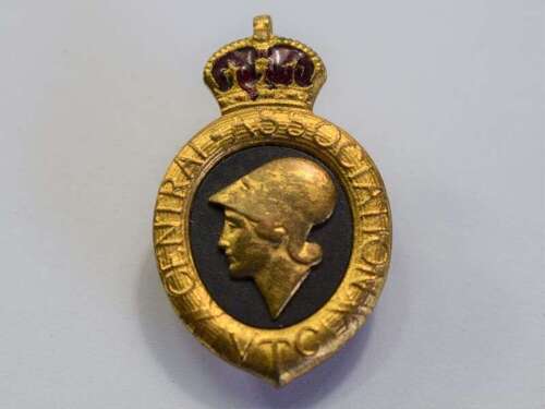 119) Excellent Original WW1 Volunteer Training Corps Lapel Badge