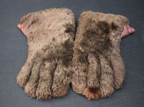1) Excellent WW2 Woman’s Fleece Covered Leather Palm CC41 Marked Gloves