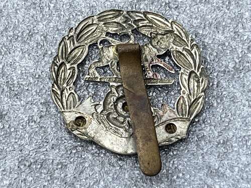 145) Very Nice Original WW1 WW2 The Hampshire Regiment Cap Badge